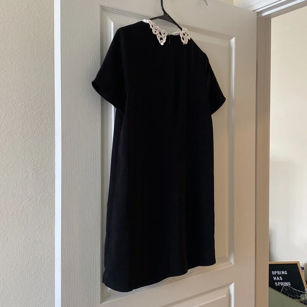 F21 Black Crochet Lace Collar Mini Dress - Picture 3 of 4